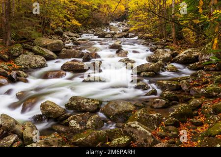 Kaskade am Little Pigeon River im Great Smoky Mountains-Nationalpark, Tennessee Stockfoto