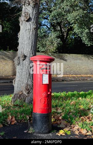 Ein Pfeilerkasten der Roten Post an der Straße Kew London England UK Stockfoto