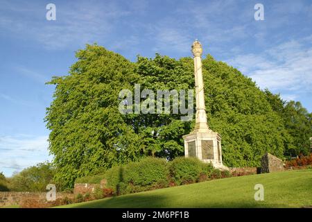 Renfrewshire Wallace Monument Elderslie, Johnstome, Schottland, Großbritannien. Dieses Denkmal steht in der Nähe eines Ortes, der nach einer langen Tradition der Geburtsort von Sir William Wallace, dem Wächter von Schottland, sein soll. Dieses Denkmal für unseren Nationalhelden wurde in Elderslie als viktorianische Touristenattraktion errichtet. Es befindet sich am mutmaßlichen Geburtsort von Wallace. Die Gesamtform der Gedenkstätte ähnelt der eines mercat Kreuzes; sie wurde von John C.T. entworfen Murray und J. Andrew Minty, und wurde 1912 errichtet. Stockfoto