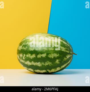 Runde gestreifte grüne Wassermelone auf gelb-blauem Hintergrund. Stockfoto