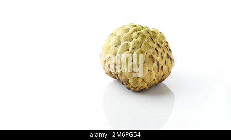 Single Organic Sugar Apple oder Custard Apple, Annona, Sweetsop, isoliert auf weißem Hintergrund. Stockfoto