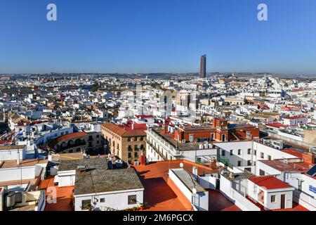 Panoramablick auf die Stadt des Turms von Sevilla in Sevilla, Spanien. Stockfoto