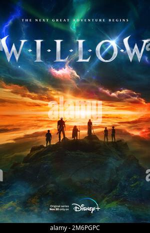 Willow Poster Stockfoto