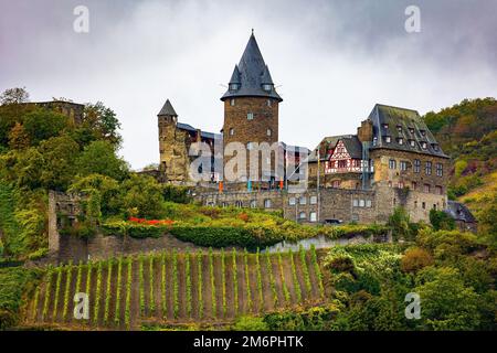 Am Rheinufer. Stockfoto