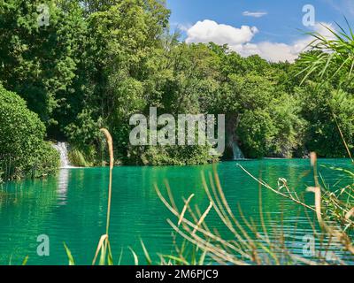 Krk-Wasserfälle, Kroatien - 06 28 2015: Türkisfarbenes Wasser und Wasserfall in einem dichten Wald in Krk in Kroatien Stockfoto