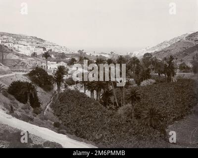 Foto aus dem frühen 20. Jahrhundert: Blick auf Gran Canaria (?) Kanarische Inseln, Spanien Stockfoto
