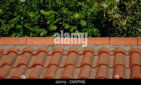 Dachziegel und grüne Baumstruktur dahinter. Stockfoto