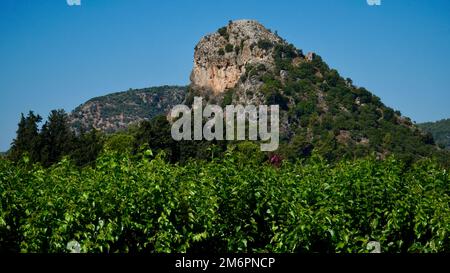 Treffpunkt der Ägäis und des Mittelmeers; Dalyan. Der Strand von Iztuzu, das Laichgebiet der Caretta-Caretta-Schildkröten. Dalyan Delta, berühmt für Stockfoto