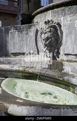 Faun Head Skulptur als Teil des mittelalterlichen Brunnens an der Plaza del Espiritu Santo in Vegueta, Las Palmas de Gran Canaria, Spanien Stockfoto