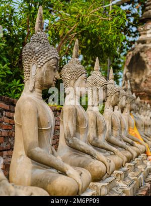 Ayutthaya, Thailand Wat Yai Chaimongkol Stockfoto