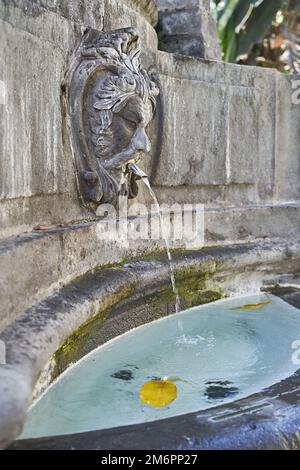 Faun Head Skulptur als Teil des mittelalterlichen Brunnens an der Plaza del Espiritu Santo in Vegueta, Las Palmas de Gran Canaria, Spanien Stockfoto