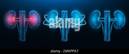 Polygonale Vektordarstellung der entzündeten erkrankten Niere, gesunden Niere und Wiederherstellung der Nierenfunktion auf einem dunkelblauen Rücken Stockfoto