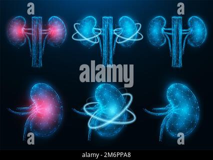 Set von polygonalen Vektordarstellungen von entzündeten erkrankten Nieren, gesunden Nieren und Wiederherstellung der Nierenfunktion. Intern oder Stockfoto
