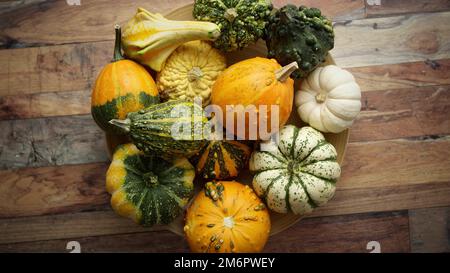 Farbige Kürbisse in verschiedenen Sorten und Arten auf dem Holztisch platziert Stockfoto