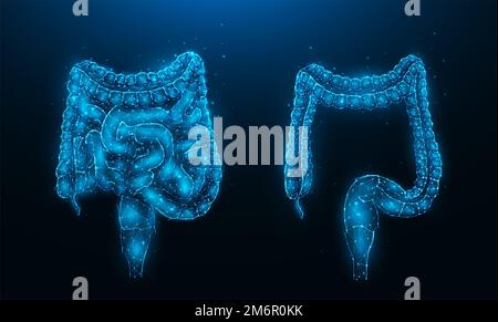 Polygonale Vektordarstellung von menschlichem Darm und Kolon auf dunkelblauem Hintergrund. Internes Organ mit niedriger Poly-Form. Medizinisches Bann Stockfoto