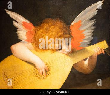 Florenz, Italien - Ca. August 2021. Engel spielt Laute, c.1521 - Öl auf Platte. Stockfoto