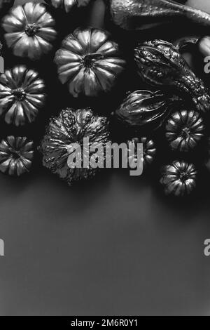 Verschiedene Arten niedlichen Mini-Kürbisse in schwarzer Farbe platziert schwarzen Hintergrund mit Kopierraum Stockfoto