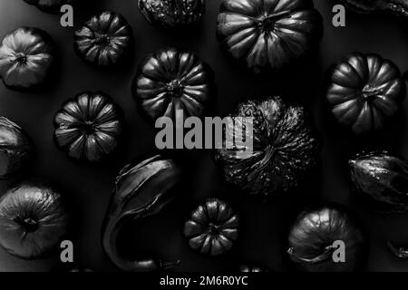 Verschiedene Arten von kleinen Kürbissen in schwarz auf dunklem Hintergrund platziert gemalt Stockfoto