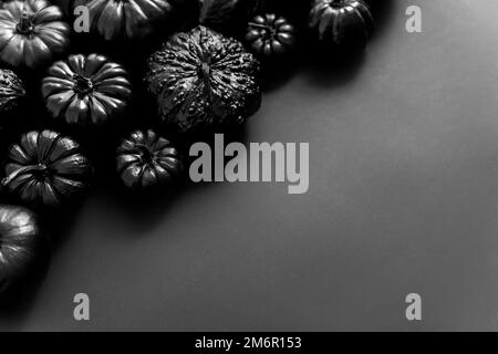 Verschiedene Arten niedlichen Mini-Kürbisse in schwarzer Farbe platziert schwarzen Hintergrund mit Kopierraum Stockfoto