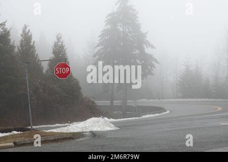 Rotes Stoppschild auf der Straße, umgeben von Pinienwald an einem nebligen Tag am Cypress Hill bei Vancouver, Kanada Stockfoto