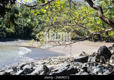 Einsamer Strand auf Boca Grande Island an der Pazifikküste von Panama Stockfoto