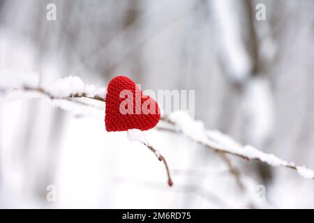 Gestricktes Liebesherz auf einem Ast, der im Winterwald mit Schnee bedeckt ist. Konzept der Neujahrsfeier oder des Valentinstages Stockfoto