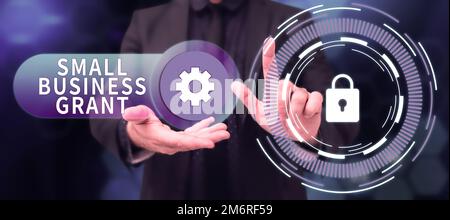 Konzeptionelle Darstellung des Zuschusses für kleine Unternehmen. Geschäftsübersicht ein Privatunternehmen, das für seine begrenzte Größe bekannt ist Stockfoto