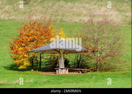 SCHALKENMEHREN, DEUTSCHLAND - 21. NOV. 2022: Ein Obdachlosenheim mit in Holz geschnitztem Gesicht Stockfoto