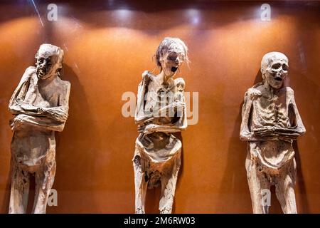 Museum der Mumien, UNESCO-Weltkulturerbe Guanajuato, Mexiko Stockfoto