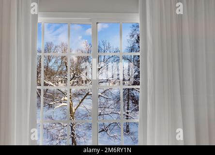 Blick vom Fenster auf die schneebedeckten Bäume Stockfoto