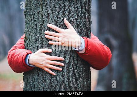 Baumumarmung, Hände umarmen alten Baumstamm im Herbst, Frau meditiert im Herbstpark Stockfoto