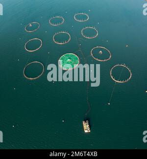 Top-down-Ansicht von Aquakulturkäfigen und Netzen in tiefblauem Wasser Stockfoto