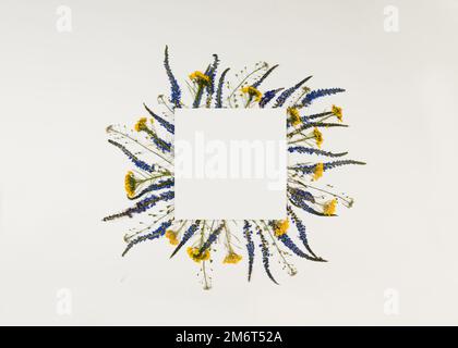 Muster gepresster getrockneter Wildblumen mit Platz für Text in Form eines Quadrats. Modell für Grußkarte, Hochzeitseinladung. Stockfoto