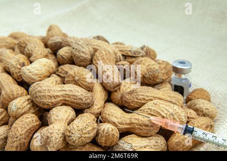 Viele Erdnüsse mit einer Spritze und einer Flasche Medikamente gegen Allergie. Konzeptionelles Bild, das Erdnuss- oder andere Nussallergien darstellt.
