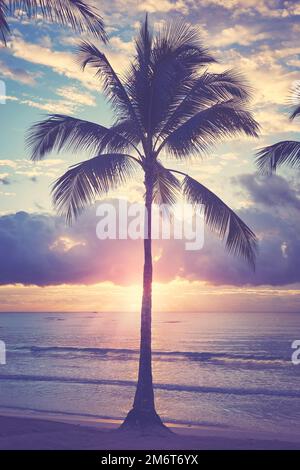 Kokospalmen-Silhouette an einem tropischen Strand bei Sonnenaufgang, Farbtönung angewendet Stockfoto