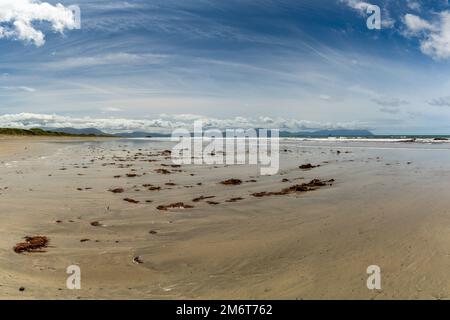 Ein Blick auf den endlosen goldenen Sandstrand in Ballyheigue mit Rotalgen im Vormund Stockfoto