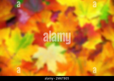 Der Herbst hinterlässt Unschärfe-Effekte Stockfoto