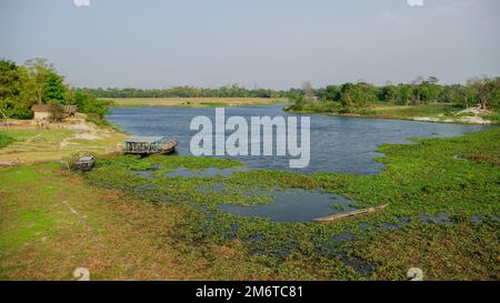 Malerische ländliche Landschaft mit Wasser und Bäumen auf der Brahmaputra River Island Majuli, Assam, Indien Stockfoto