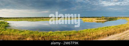 Weideland am Ufer des Flusses in Belarus Stockfoto