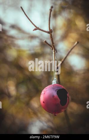 Oudoors Christmas Decorations, Nahaufnahme einer zerbrochenen rosa Weihnachtskugel, die an einem Baum in einem Park/Wald in Southampton, England, hängt Stockfoto