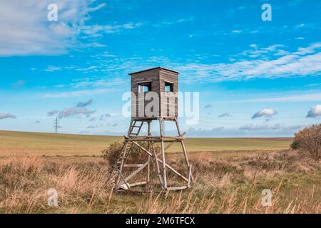 Jagdturm aus Holz in Wald Stockfoto