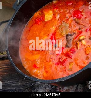 Über einem offenen Feuer wird Wassergulasch zubereitet! Stockfoto