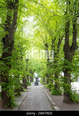 Auf den Straßen der Altstadt von Wismar. Farbenfrohe Häuser entlang der Gracht des Flusses Grube, Wismar, Mecklenburg-Vorpommern, Ge Stockfoto