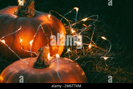 Halloween Kürbisse und Lichterketten für Halloween Party Einladungsdesign Stockfoto