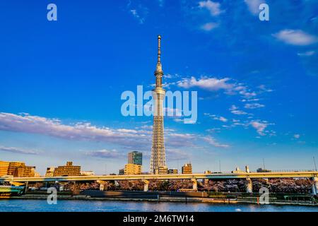 Himmel von Tokyo Sky Tree und schönes Wetter Stockfoto