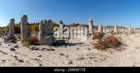 Eine Panoramalandschaft des Steinwaldes in der Wüste Pobiti Kamani bei Varna Stockfoto
