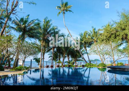 Luxuriöser Swimmingpool mit Strandliegen und Palmen Stockfoto