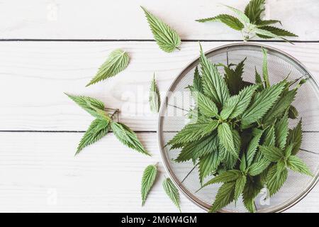 Brennnesselblatt, frisch gepflückte Urtica dioica auf Holztisch, Draufsicht, Kopierraum Stockfoto