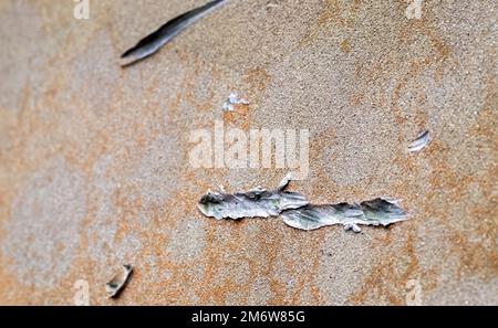 Textur von getarntem gepanzerten Metall mit Schadensnaht. Panzerverformung aus einer Muschelnaht. Beschädigte Rüstung eines russischen Ars Stockfoto