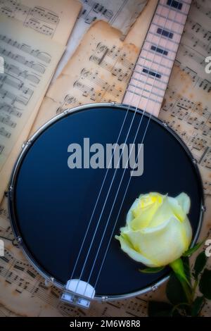 Schwarzer Banjo Und Weiße Rose Stockfoto